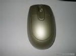 mouse